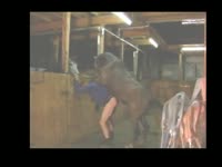 Gay beastie gal got pounded from behind with horse dick